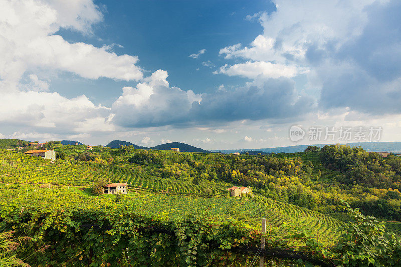 Valdobbiadene -秋季普洛赛科山